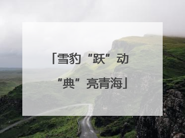 雪豹“跃”动 “典”亮青海