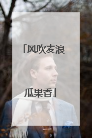 风吹麦浪 瓜果香