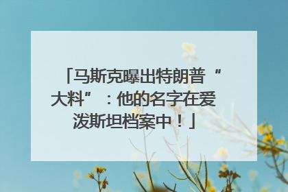 马斯克曝出特朗普“大料”：他的名字在爱泼斯坦档案中！