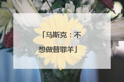 马斯克：不想做替罪羊