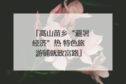 高山苗乡“避暑经济”热 特色旅游铺就致富路