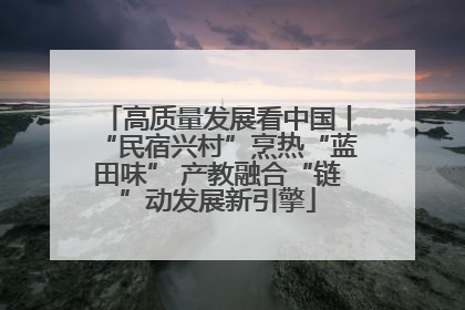 高质量发展看中国丨“民宿兴村”烹热“蓝田味” 产教融合“链”动发展新引擎
