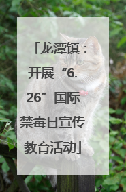 龙潭镇：开展“6.26”国际禁毒日宣传教育活动
