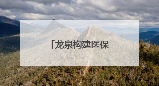 龙泉构建医保基金“即时结算”新格局