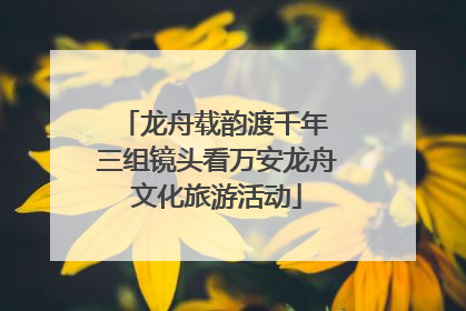龙舟载韵渡千年 三组镜头看万安龙舟文化旅游活动