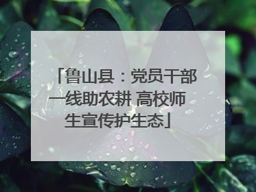 鲁山县：党员干部一线助农耕 高校师生宣传护生态