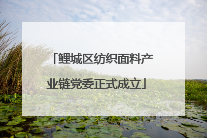 鲤城区纺织面料产业链党委正式成立