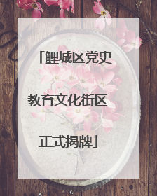 鲤城区党史教育文化街区正式揭牌