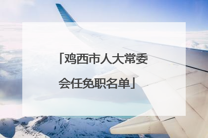 鸡西市人大常委会任免职名单