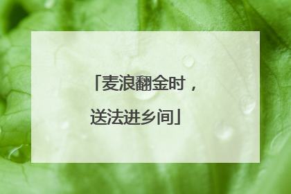 麦浪翻金时，送法进乡间