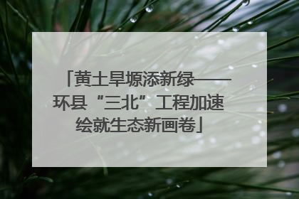 黄土旱塬添新绿——环县“三北”工程加速绘就生态新画卷