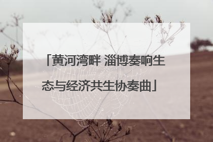 黄河湾畔 淄博奏响生态与经济共生协奏曲