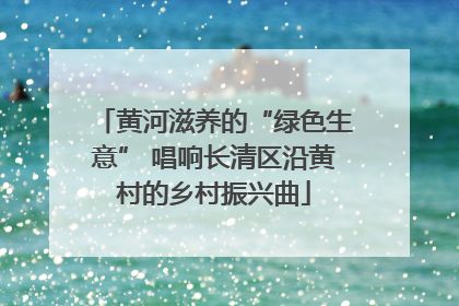 黄河滋养的“绿色生意” 唱响长清区沿黄村的乡村振兴曲