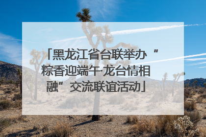 黑龙江省台联举办“粽香迎端午·龙台情相融”交流联谊活动