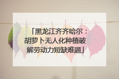黑龙江齐齐哈尔：胡萝卜无人化种植破解劳动力短缺难题
