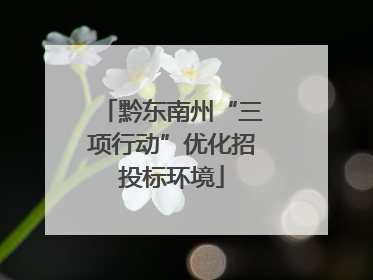 黔东南州“三项行动”优化招投标环境