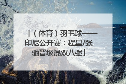 （体育）羽毛球——印尼公开赛：程星/张驰晋级混双八强