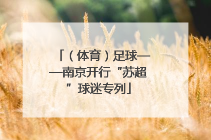 （体育）足球——南京开行“苏超”球迷专列