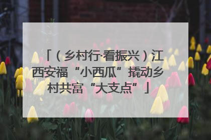 （乡村行·看振兴）江西安福“小西瓜”撬动乡村共富“大支点”