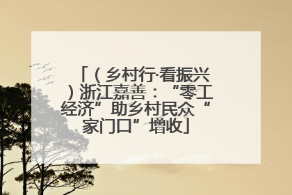 （乡村行·看振兴）浙江嘉善：“零工经济”助乡村民众“家门口”增收