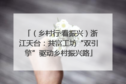 （乡村行·看振兴）浙江天台：共富工坊“双引擎”驱动乡村振兴路