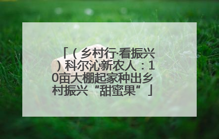 （乡村行·看振兴）科尔沁新农人：10亩大棚起家种出乡村振兴“甜蜜果”