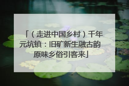 （走进中国乡村）千年元坑镇：旧矿新生融古韵 原味乡俗引客来