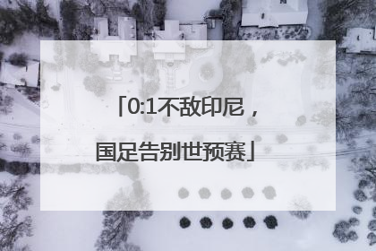 0:1不敌印尼，国足告别世预赛