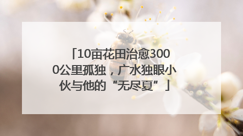 10亩花田治愈3000公里孤独，广水独眼小伙与他的“无尽夏”