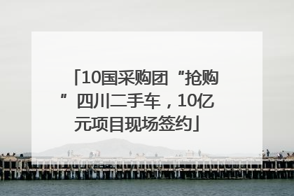 10国采购团“抢购”四川二手车，10亿元项目现场签约