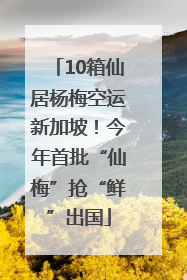 10箱仙居杨梅空运新加坡！今年首批“仙梅”抢“鲜”出国