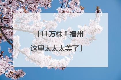 11万株！福州这里太太太美了