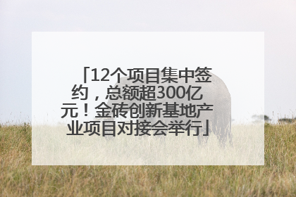 12个项目集中签约，总额超300亿元！金砖创新基地产业项目对接会举行