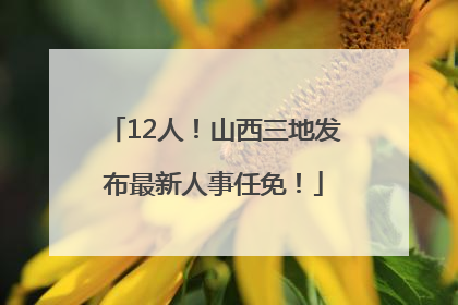 12人！山西三地发布最新人事任免！