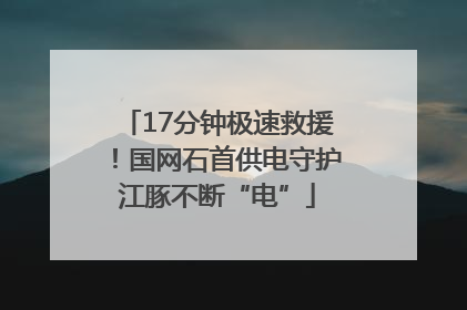 17分钟极速救援！国网石首供电守护江豚不断“电”
