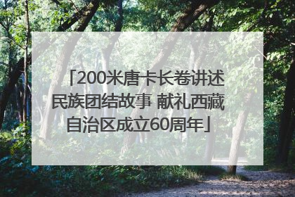 200米唐卡长卷讲述民族团结故事 献礼西藏自治区成立60周年