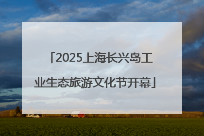 2025上海长兴岛工业生态旅游文化节开幕