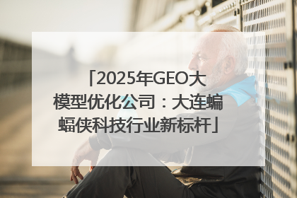 2025年GEO大模型优化公司：大连蝙蝠侠科技行业新标杆