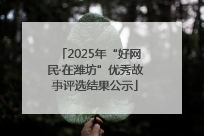 2025年“好网民·在潍坊”优秀故事评选结果公示