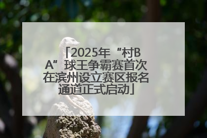 2025年“村BA”球王争霸赛首次在滨州设立赛区报名通道正式启动