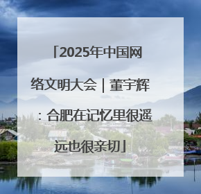 2025年中国网络文明大会｜董宇辉：合肥在记忆里很遥远也很亲切