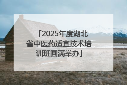 2025年度湖北省中医药适宜技术培训班圆满举办