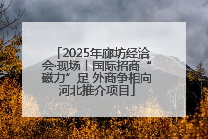 2025年廊坊经洽会·现场丨国际招商“磁力”足 外商争相向河北推介项目