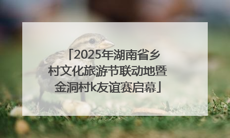 2025年湖南省乡村文化旅游节联动地暨金洞村k友谊赛启幕