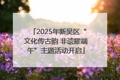 2025年新吴区“文化传古韵 非遗耀端午”主题活动开启