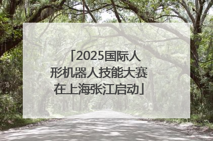 2025国际人形机器人技能大赛在上海张江启动