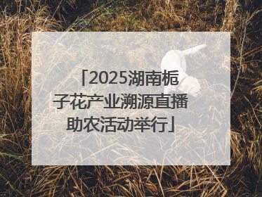 2025湖南栀子花产业溯源直播助农活动举行