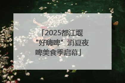 2025都江堰“好嗨啤”消夏夜啤美食季启幕