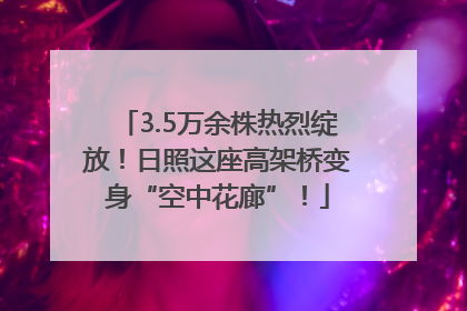 3.5万余株热烈绽放！日照这座高架桥变身“空中花廊”！