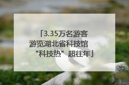 3.35万名游客游览湖北省科技馆 “科技热”超往年